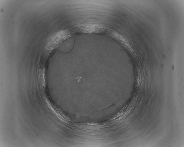 X0000067910590200604171341