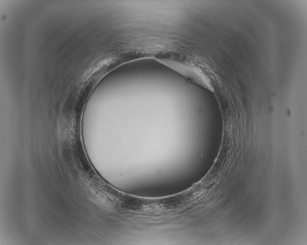 X0000067910591200604171341