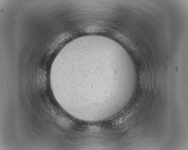 X0000067910592200604171341