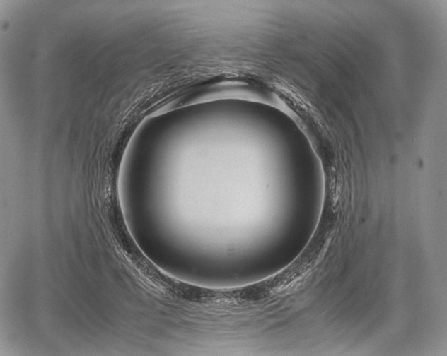 X0000067910593200604171341