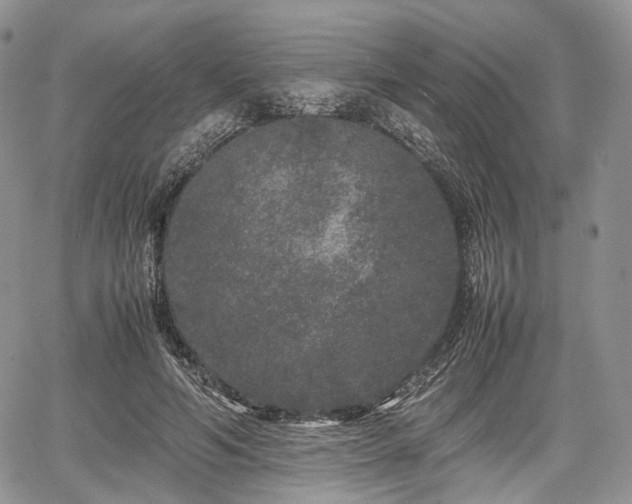 X0000067910594200604171340