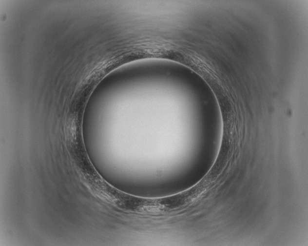 X0000067910595200604171340