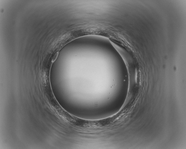 X0000067910597200604171340