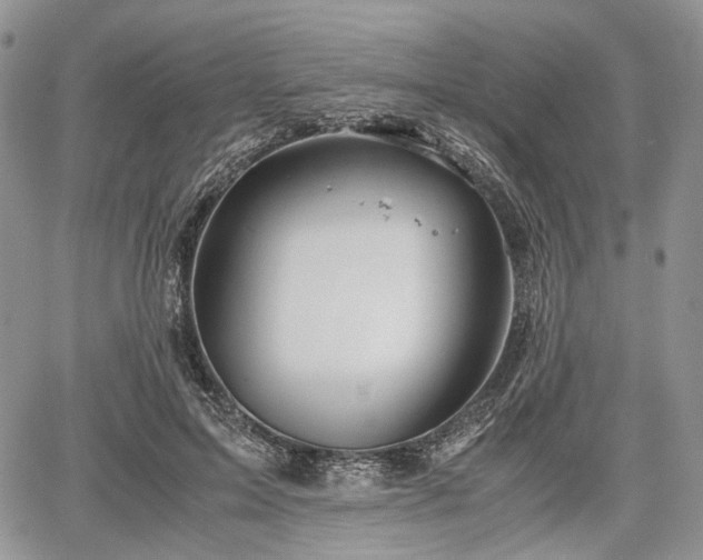 X0000067910599200604171340