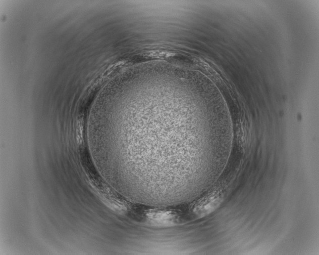 X0000067910602200604171340