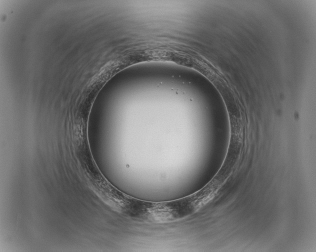 X0000067910603200604171340