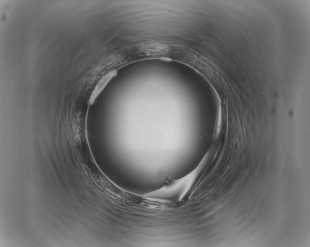 X0000067910604200604171340