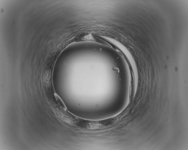 X0000067910605200604171340