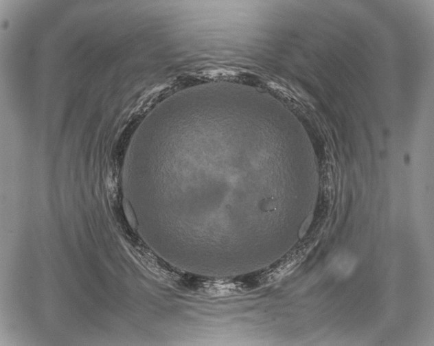 X0000067910607200604171340