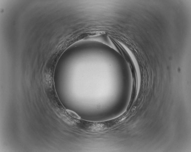 X0000067910609200604171340