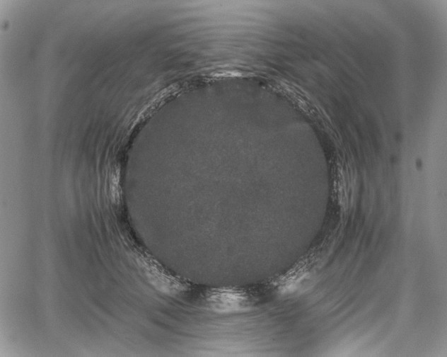 X0000067910610200604171340