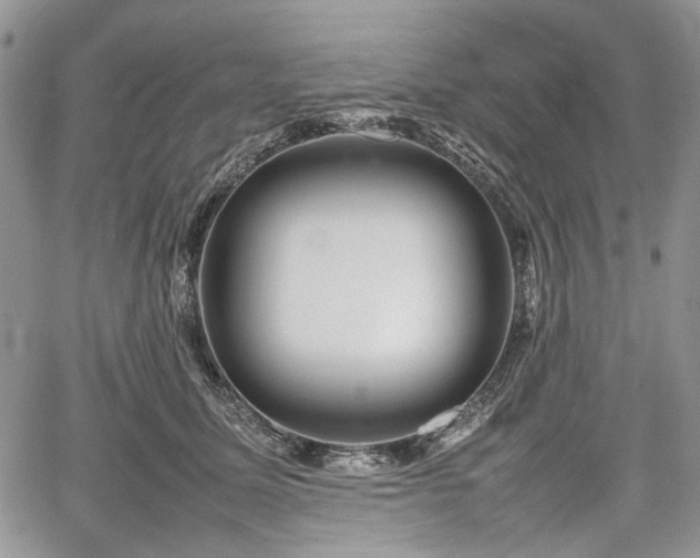 X0000067910611200604171340