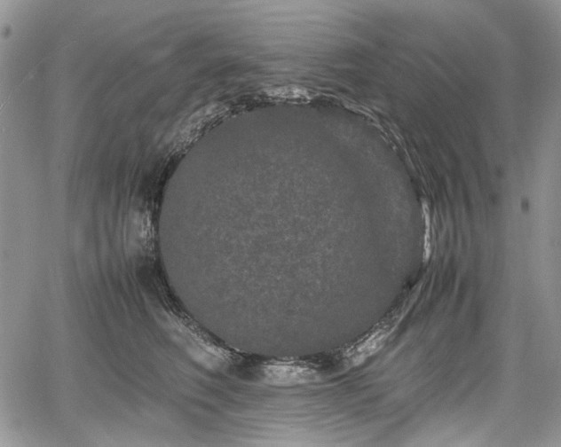 X0000067910614200604171340