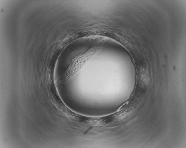 X0000067910615200604171340