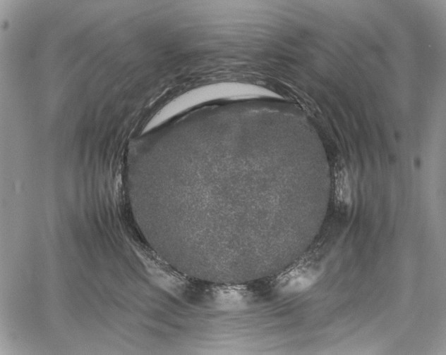 X0000067910618200604171340