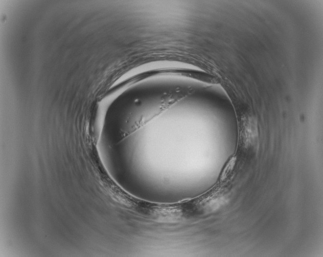 X0000067910619200604171340