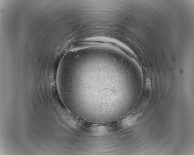 X0000067910620200604171340