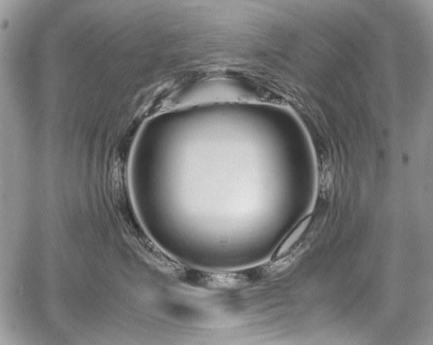 X0000067910623200604171340