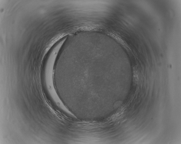 X0000067910626200604171339