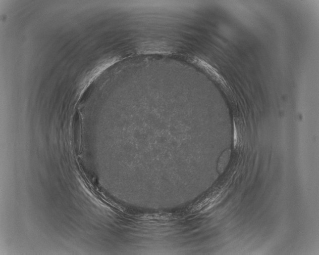 X0000067910627200604171339