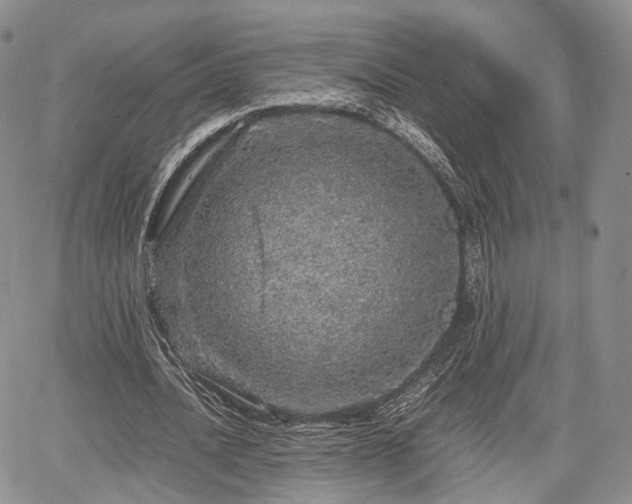 X0000067910628200604171339