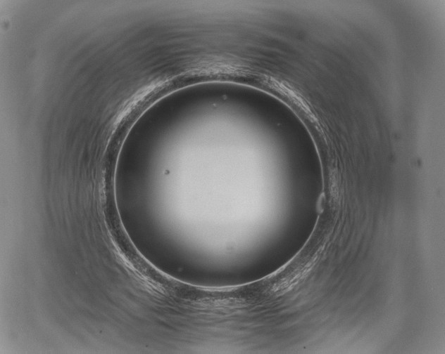 X0000067910629200604171339