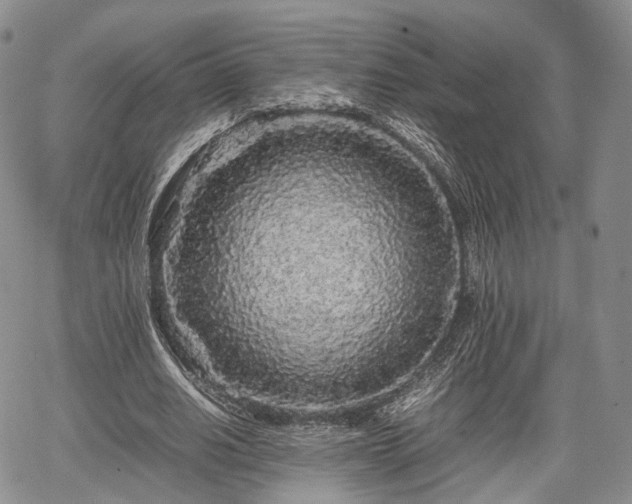 X0000067910630200604171339