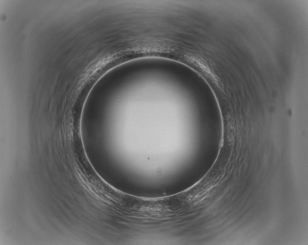 X0000067910631200604171339