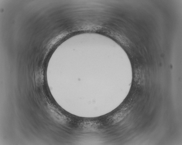 X0000067910632200604171339