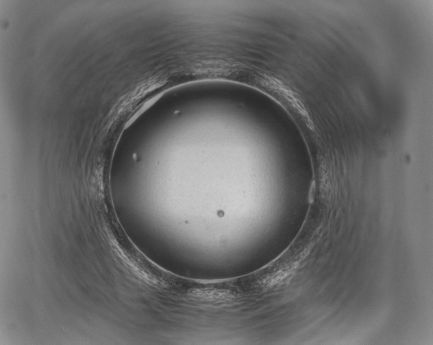 X0000067910633200604171339