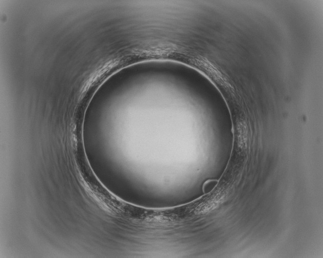 X0000067910634200604171339