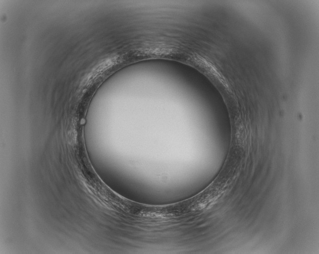 X0000067910635200604171339