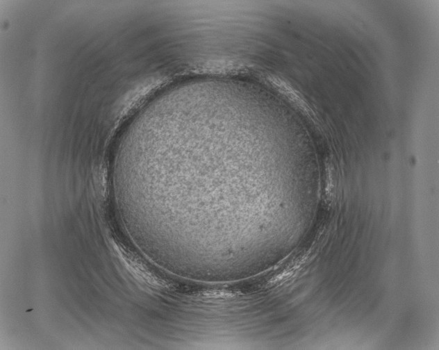 X0000067910636200604171339