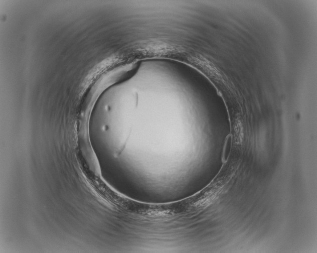 X0000067910638200604171339