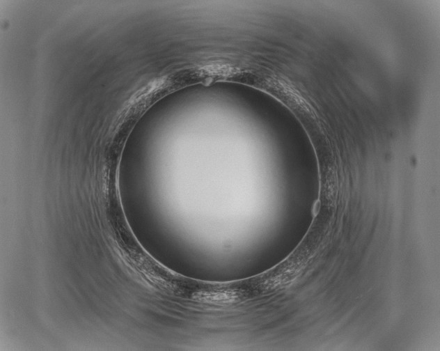 X0000067910639200604171339