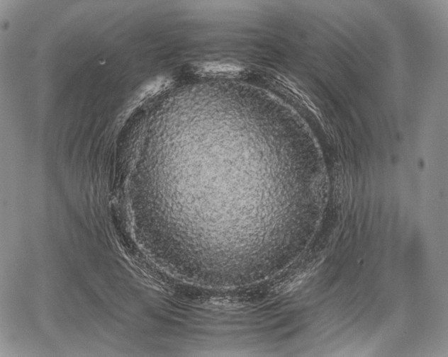 X0000067910641200604171339