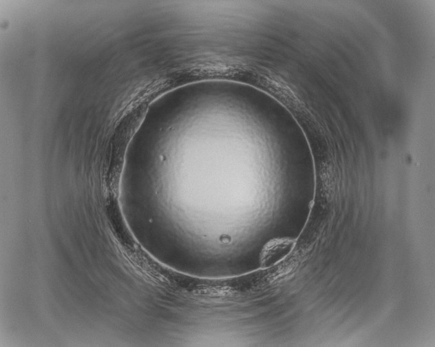 X0000067910642200604171339