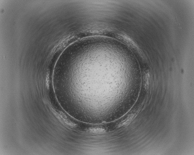 X0000067910644200604171340