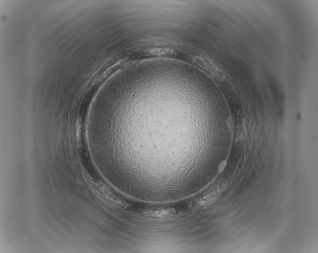 X0000067910646200604171340