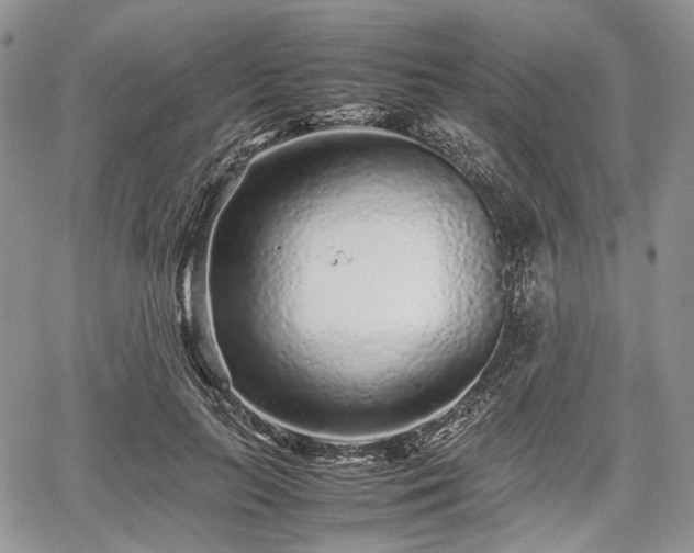 X0000067910647200604171340