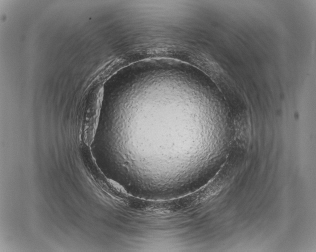 X0000067910648200604171340