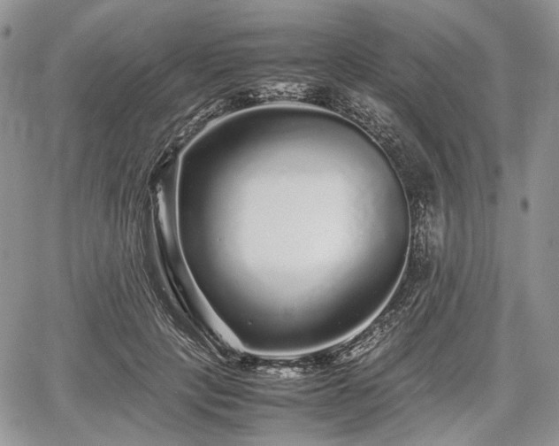 X0000067910649200604171340