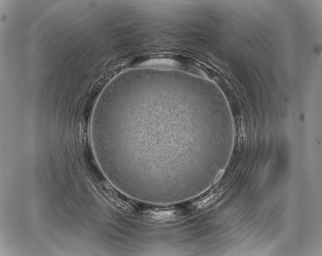 X0000067910651200604171340