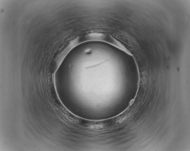 X0000067910653200604171340