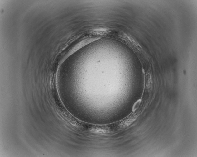 X0000067910655200604171340