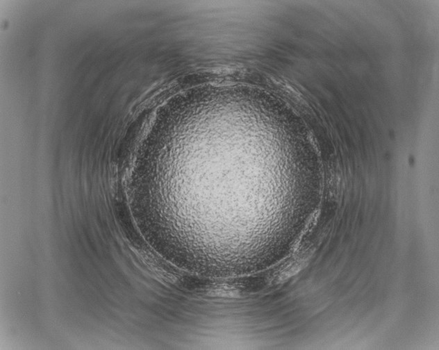 X0000067910656200604171340