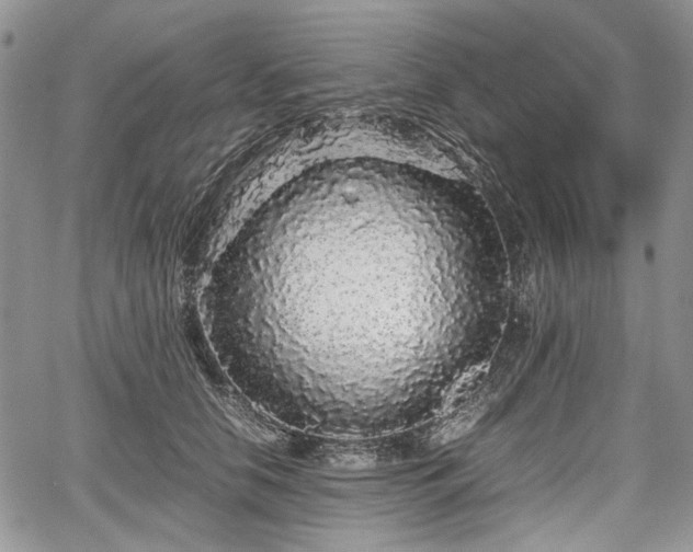 X0000067910658200604171340