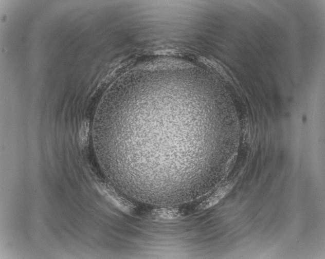 X0000067910660200604171340