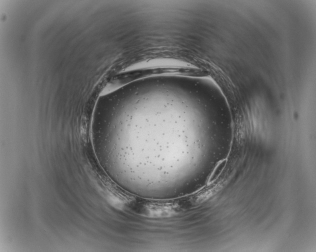 X0000067910661200604171340