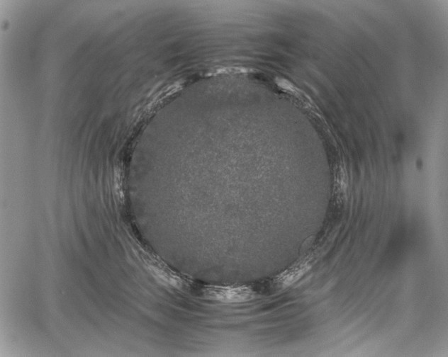 X0000067910663200604171340